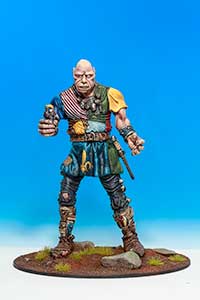 The Citadel Giant