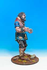 The Citadel Giant
