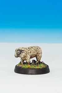 Sheep