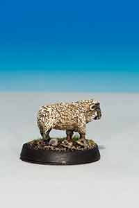 Sheep