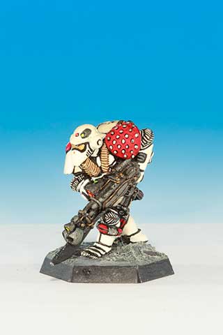 LE2 Imperial Space Marine