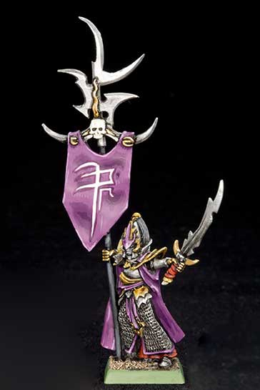 Dark Elf Army Standard Bearer