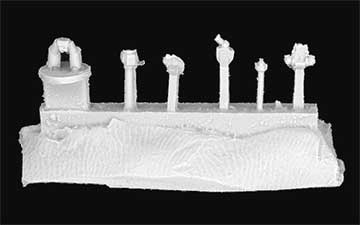 Sprue back