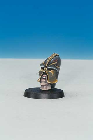 Skulz Dark Elf Head