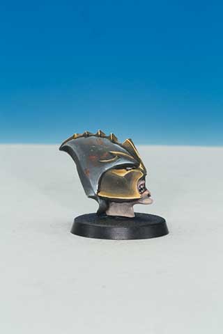 Skulz Dark Elf Head