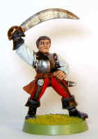 swashbucklerf-01.jpg (13471 bytes)