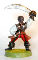 swashbucklerr-01.jpg (14690 bytes)